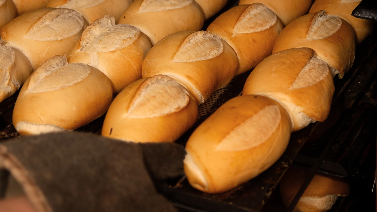Pães franceses dourados saindo do forno na padaria do Megamix, feitos na própria loja
